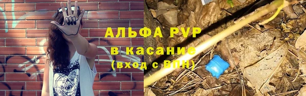 СК Тутаев
