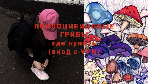 наркотики Бородино