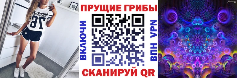 где можно купить наркотик  Приволжский  Галлюциногенные грибы GOLDEN TEACHER 